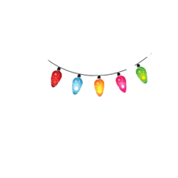 Charity Lighting Logo